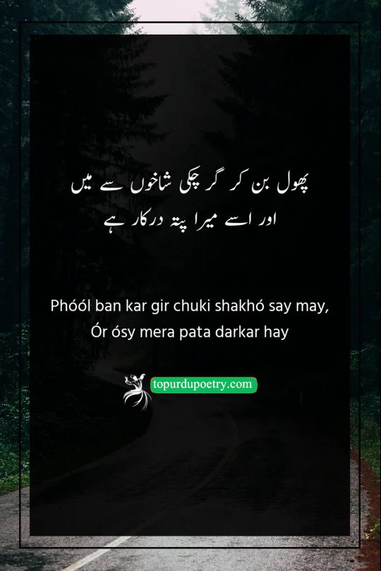barish poetry in urdu 2 lines text​: A tragic couplet about a flower that has already fallen from the branch while the beloved finally comes looking for its address.