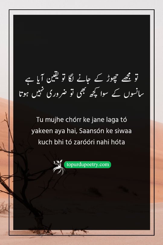bewafa poetry love: A stark, artistic visual of a single, vibrant green leaf growing out of a crack in a dry, parched desert floor, symbolizing the 'saans' (breath) and the survival that continues even after everything else has 'left.'
