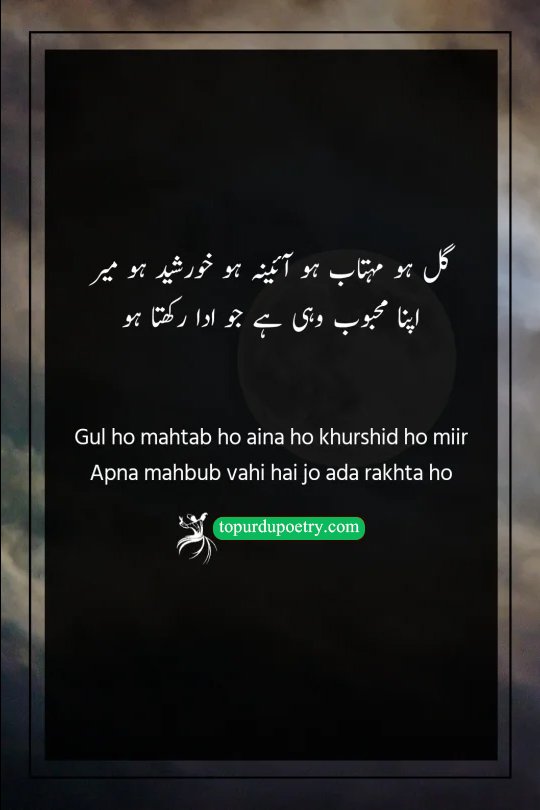 urdu poetry on moon: A sophisticated visual of a bright moon shining behind the delicate silhouette of a blooming rose, symbolizing the comparison between the beauty of the 'mahtab' and the 'gul' as described by Mir Taqi Mir.