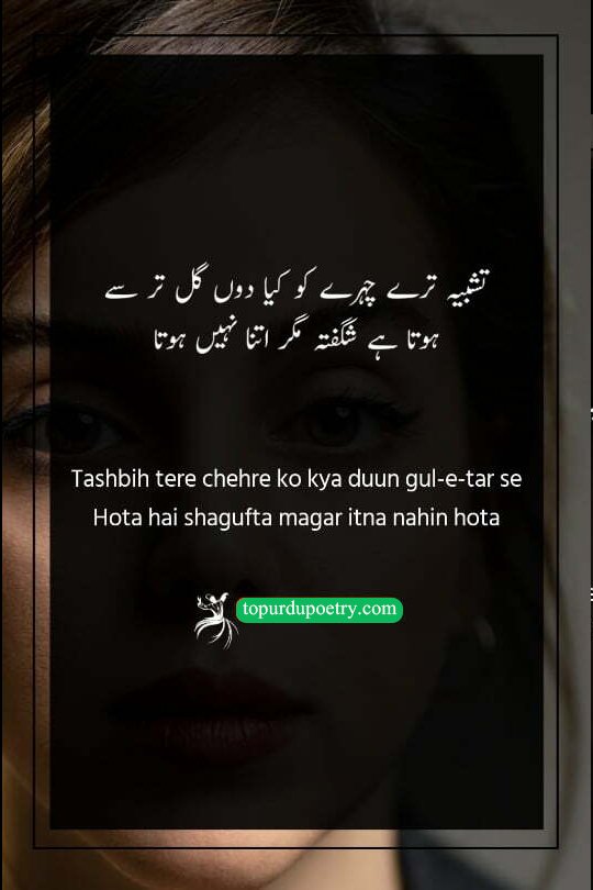 A beautiful Urdu poetry visual comparing a fresh, dew-drenched rose (gul-e-tar) to a radiant face, illustrating that the beloved's glow (shagufta) is superior to nature's most beautiful flower