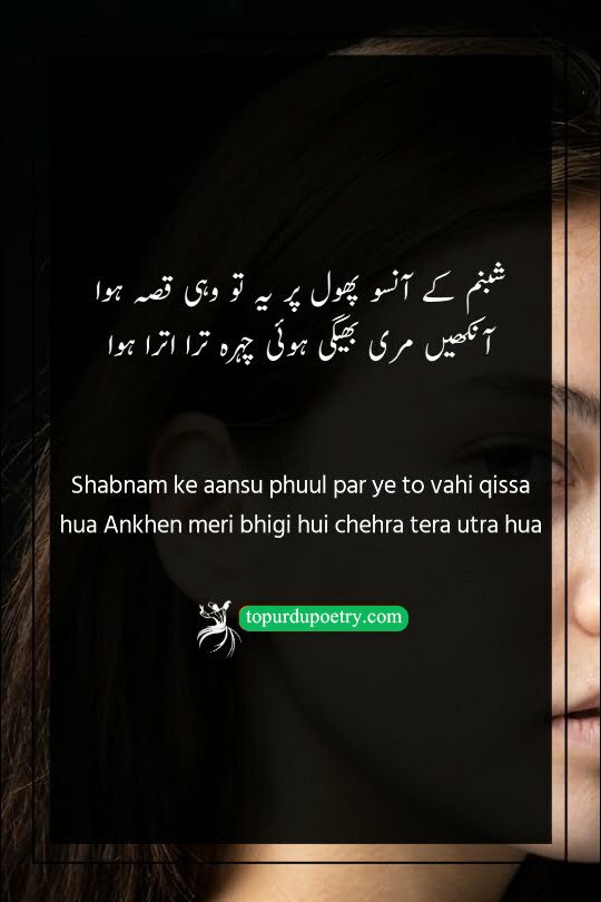 A melancholic Urdu poetry visual showing dewdrops (shabnam) on a flower, symbolizing wet eyes and a saddened face (utra hua chehra) in a moment of shared grief