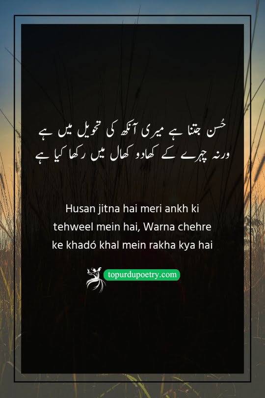 dard shayari in urdu 2 lines: A bold couplet expressing that beauty lies in the eye of the beholder, claiming the beloved's charm is a gift from the poet's admiring gaze rather than just their physical features.