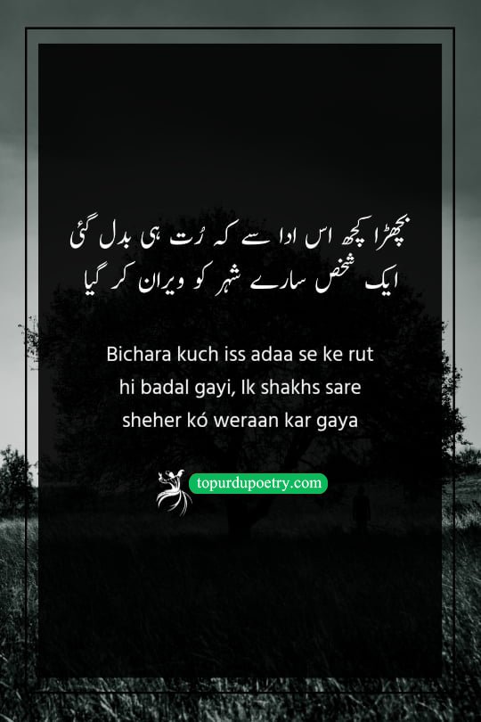 dard poetry: A poignant couplet describing how the departure of one special person can make an entire bustling city feel like an empty, desolate wasteland.