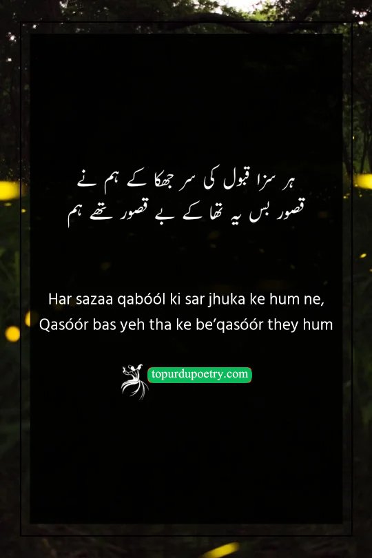 sad poetry for girls: A deep couplet where the poet accepts every punishment, revealing that their only crime was being innocent in a biased world.