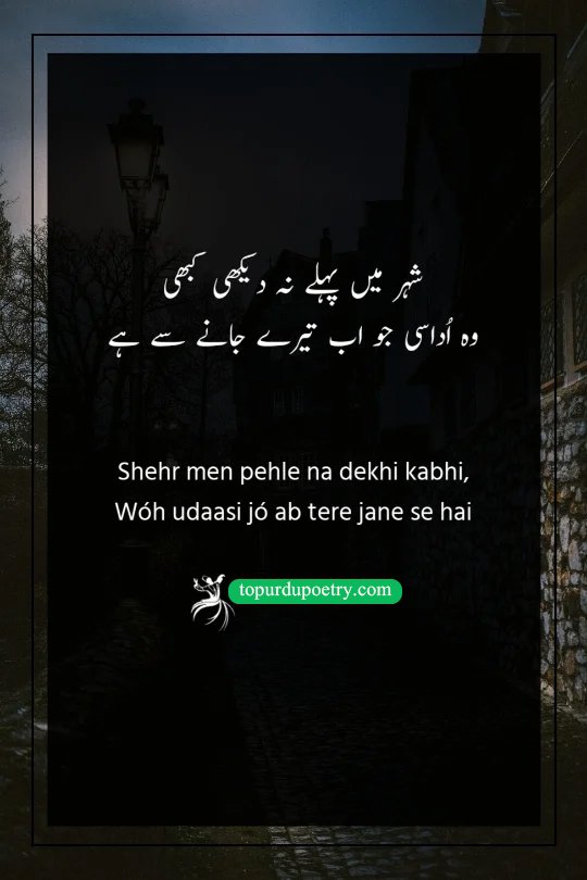 sad poetry: A touching couplet describing how the entire city feels consumed by an unfamiliar sadness after the beloved's departure.