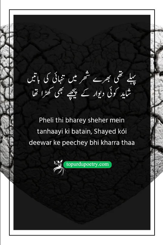 depression poetry quotes​:A mysterious Urdu poetry visual showing a shadow cast against a wall in a crowded street, symbolizing the rumor of 'tanhaayi' (loneliness) and the feeling of being watched behind a 'deewar'.

