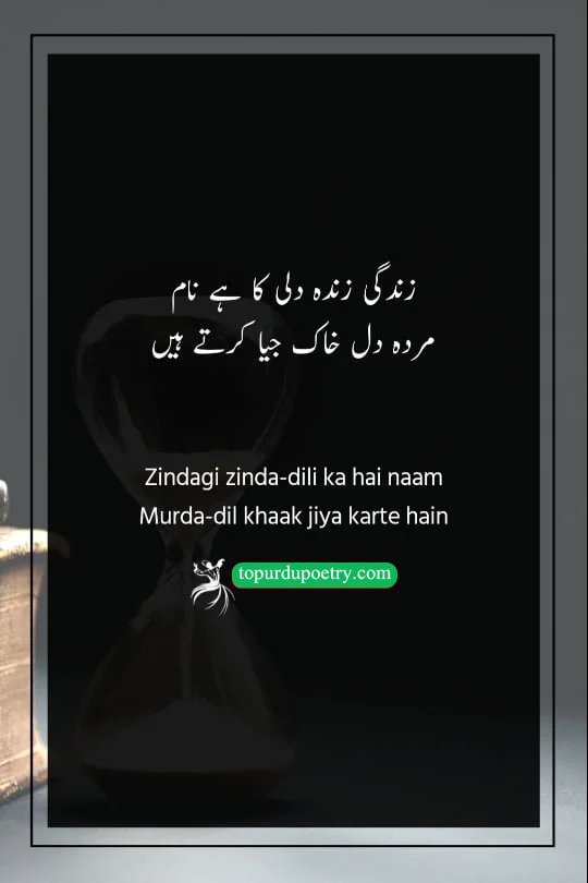 Deep poetry about life in Urdu​: An uplifting Urdu poetry visual showing a vibrant, blooming flower growing out of dry 'khaak' (dust), symbolizing 'zinda-dili' (liveliness) and the true spirit of 'zindagi' (life) triumphing over a 'murda-dil' (dead heart).

