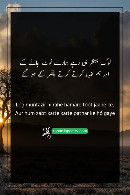 heart touching poetry; A powerful couplet about how people waited for the poet to break, but through constant endurance, the poet became as strong and unbreakable as stone.
