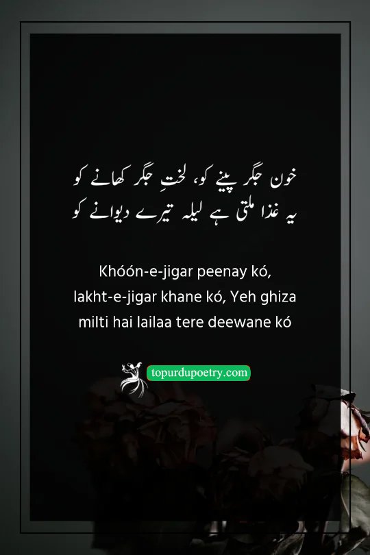 sad poetry in urdu: A visceral couplet referencing Laila and Majnu, describing how a true lover finds nourishment only in their own grief and suffering.