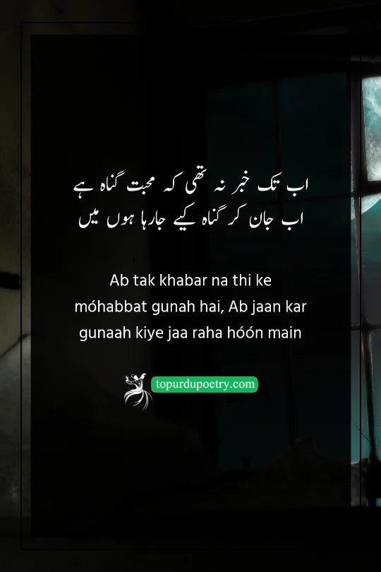 so sad poetry in urdu: A defiant couplet where the poet admits to knowingly committing the 'sin' of love despite social or moral warnings.