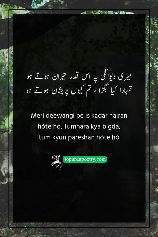 heart touching sad quotes in urdu: A witty couplet where the poet challenges society's concern over their passionate behavior, asking why others are worried when they haven't lost anything.