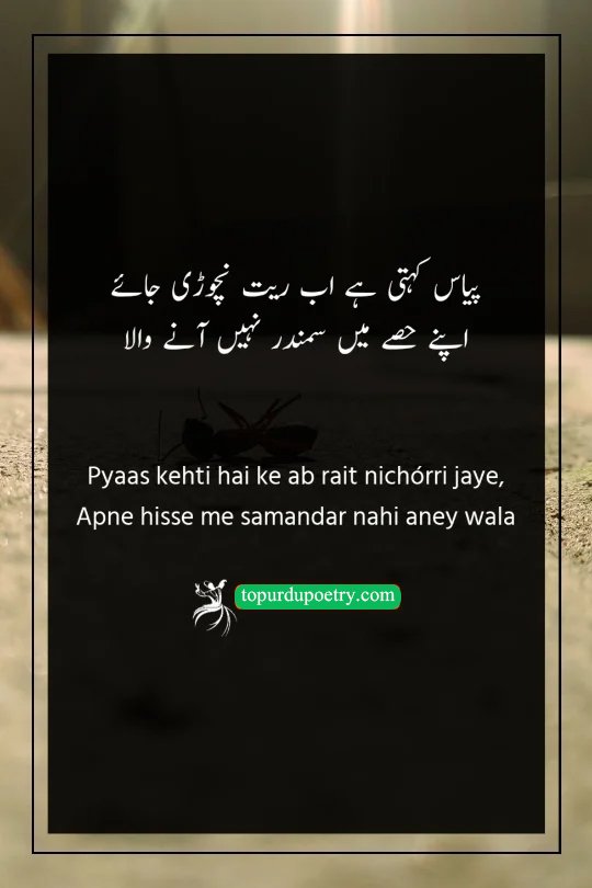 very sad poetry in urdu: A powerful couplet using the metaphor of wringing water from sand to describe extreme desperation and the acceptance of a deprived destiny.