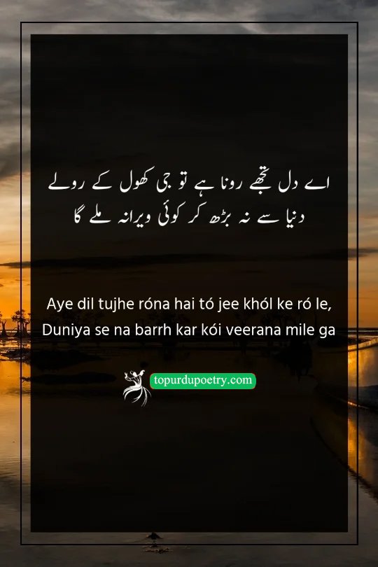 depression spoken words poetry lyrics:A melancholic Urdu poetry visual showing a person standing in a crowded but blurry street, symbolizing the world as a 'veerana' (wilderness) where a heart can cry in isolation.