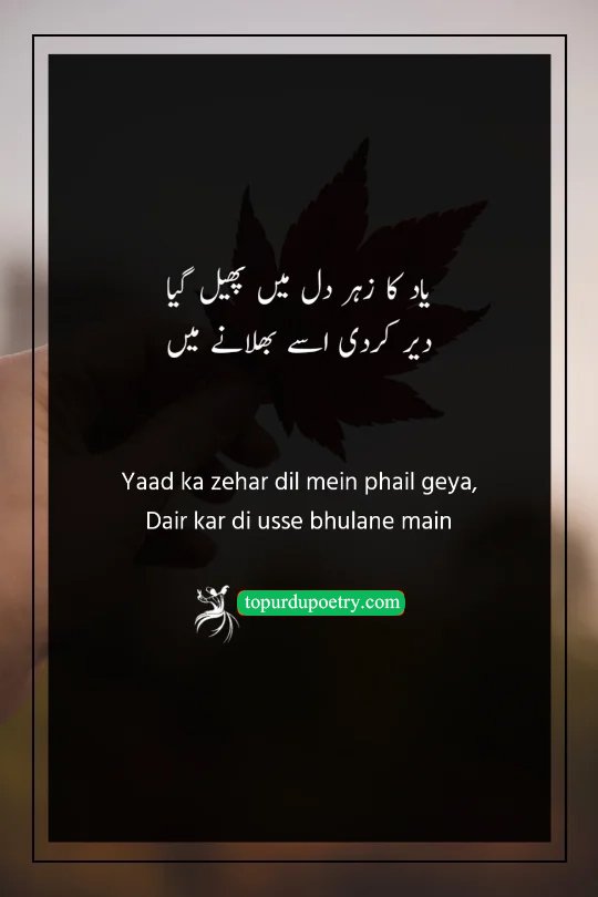 sad poetry in Urdu: A powerful couplet comparing the memory of a lost love to poison that has fatally spread through the heart because it wasn't forgotten in time.