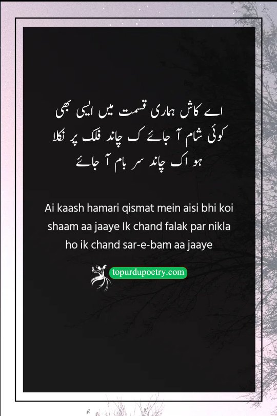 moon poetry in urdu: A cinematic, moonlit scene showing a traditional balcony with a soft glow, while a large full moon hangs in the deep blue sky behind it, symbolizing the 'two moons' described in the couplet.
