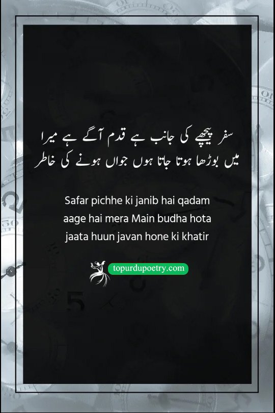 time poetry in urdu​: A symbolic visual of a tree in autumn shedding its leaves (aging) while its roots (the soul) dig deeper into the ancient earth, representing the journey of getting 'budha' (old) to become 'javan' (young) again.