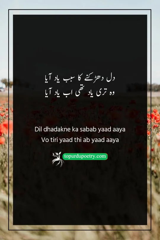 yaad poetry: A minimalist and moody visual of a rhythmic pulse line (EKG) transitioning into the silhouette of a face, symbolizing the 'sabab' (reason) behind a beating heart as described in the poetry.