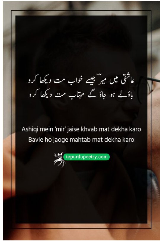 best love poetry in urdu: A classical cautionary couplet warning lovers that chasing impossible dreams or obsessing over beauty can lead to madness and emotional ruin.
