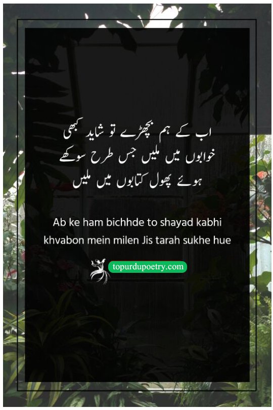 love poetry in Urdu text: A deeply moving couplet about the permanent nature of separation, comparing lost lovers to dried flowers preserved within the pages of a book.
