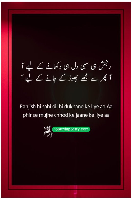 friends love poetry in urdu: A legendary couplet by Ahmed Faraz where the poet pleads for the beloved to return, even if it is only to break his heart or leave him once again.