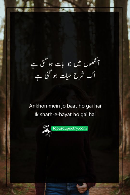 shayari on eyes in urdu: A profound couplet expressing how a single, unspoken conversation through the eyes became the ultimate explanation and meaning of the poet's entire life.
